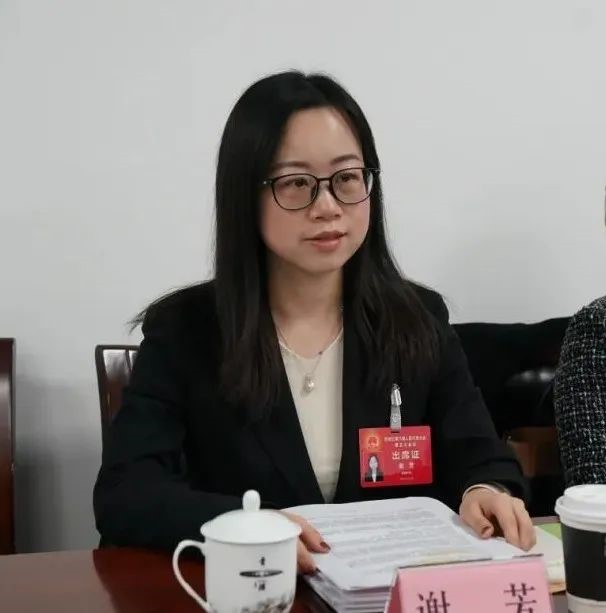 成就鼓舞人心，蓝图催人奋进！区人大代表热议两会｜两会进行时