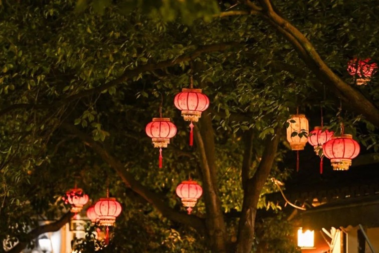 提一盏花灯入梦江南，来青浦用一场元宵灯海收官蛇年春节！