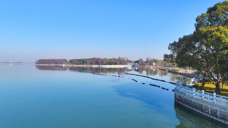 来青浦，骑行在青西“大河大湖”，太酷了！