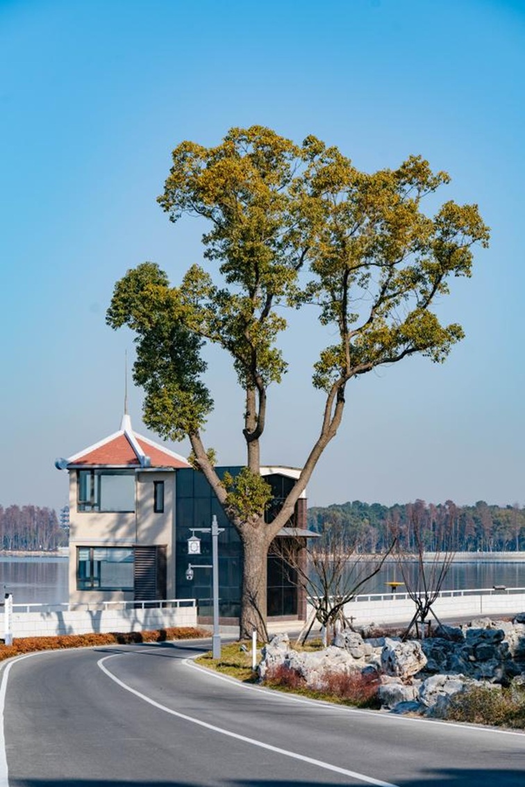来青浦，骑行在青西“大河大湖”，太酷了！