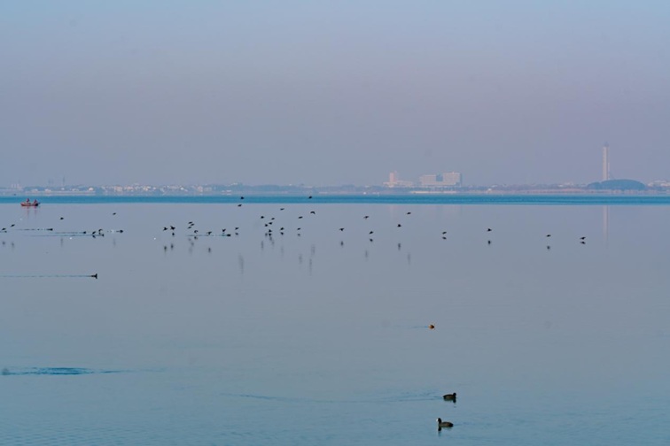 来青浦，骑行在青西“大河大湖”，太酷了！