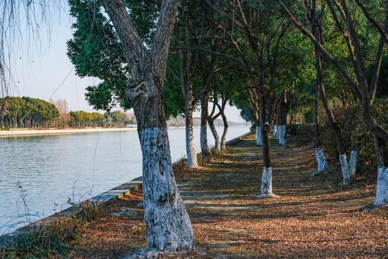 来青浦，骑行在青西“大河大湖”，太酷了！