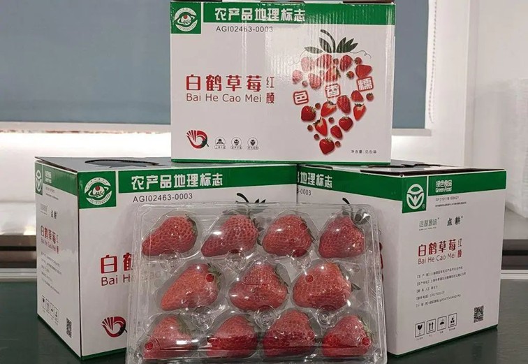 入选“国”字号！这几种青浦特色农产品，每一款都超赞~