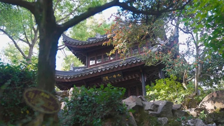 跟着地图去打卡，全民健身的活力舞台：青浦区体育中心