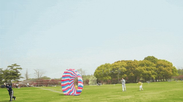 上班暂停一下！快来青浦看樱花雨