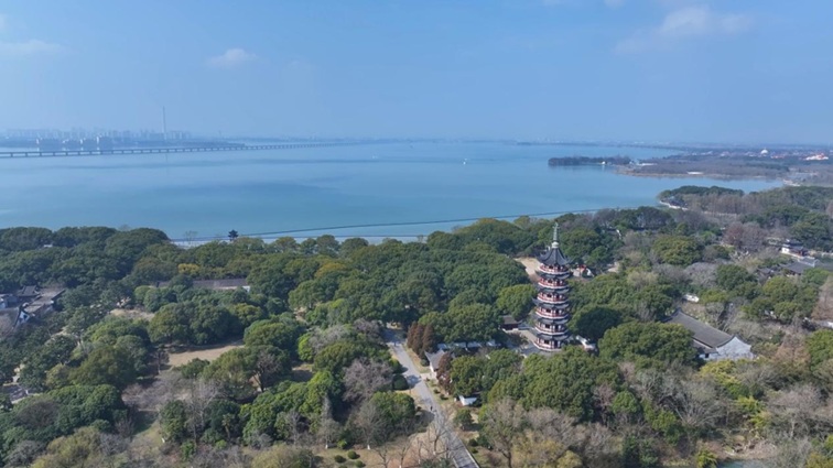 沪水畔，慢时光！梅花映水，到青浦赏梅品水