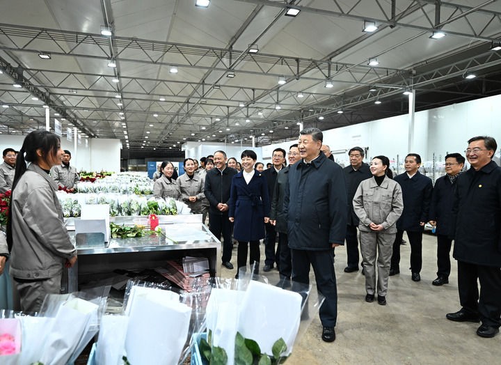 3月19日至20日，中共中央总书记、国家主席、中央军委主席习近平在云南考察。这是19日下午，习近平在丽江现代花卉产业园玫瑰花分级包装生产线考察。新华社记者 燕雁 摄