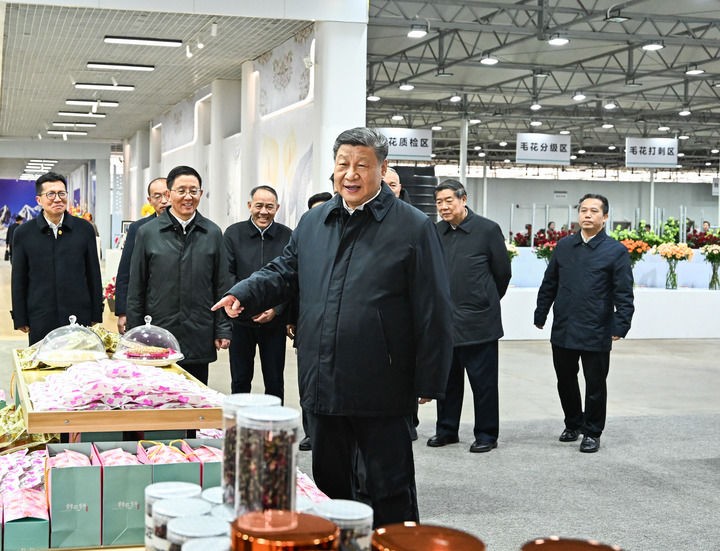 3月19日至20日，中共中央总书记、国家主席、中央军委主席习近平在云南考察。这是19日下午，习近平在丽江现代花卉产业园考察。新华社记者 燕雁 摄