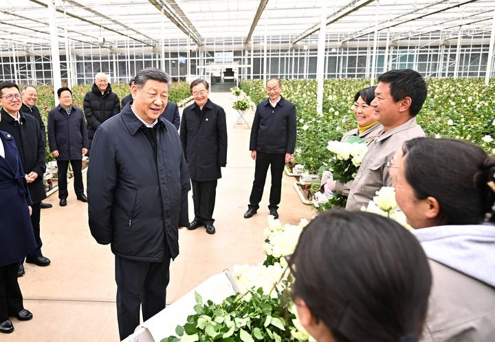 3月19日至20日，中共中央总书记、国家主席、中央军委主席习近平在云南考察。这是19日下午，习近平在丽江现代花卉产业园玫瑰花种植区，同现场村民、技术人员亲切交谈。新华社记者 燕雁 摄