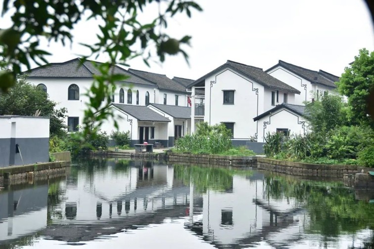 随着镜头中的涟漪，在水韵流转中感受青浦水美乡村