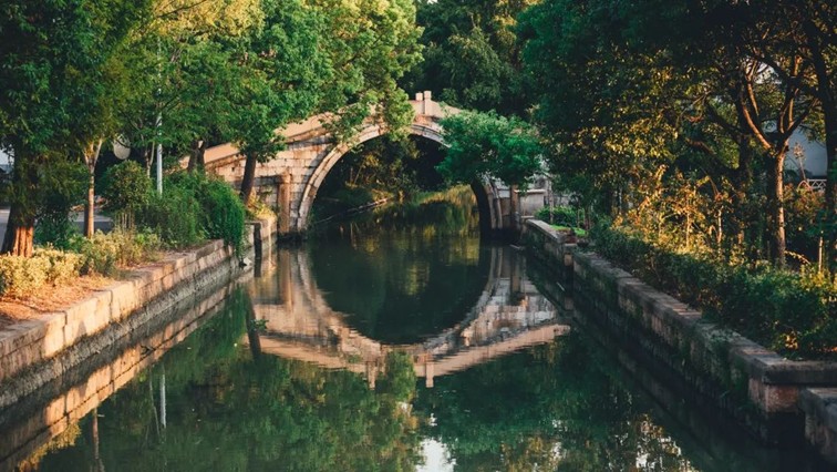 随着镜头中的涟漪，在水韵流转中感受青浦水美乡村