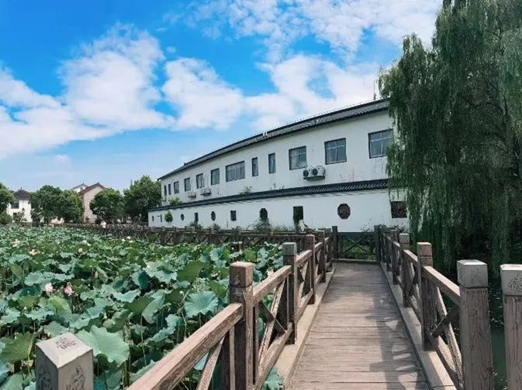 追风少年的春日漫游指南，带你邂逅青浦的N种风情！