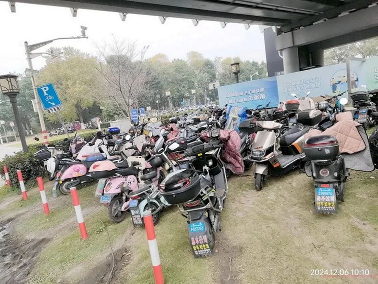 【学习教育】三统筹四提升 | 区绿化市容局：党建领航绘新卷 全域整治焕新颜