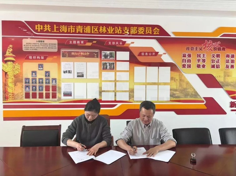 三统筹四提升 | 区绿化市容局：党建引领聚势赋能 城市焕新彰显担当