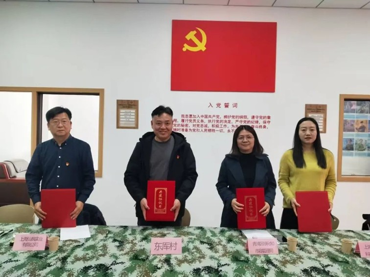 三统筹四提升 | 区绿化市容局：党建引领聚势赋能 城市焕新彰显担当