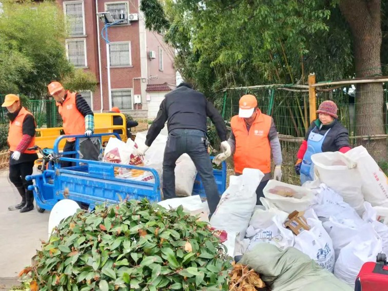 三统筹四提升 | 区绿化市容局：党建引领聚势赋能 城市焕新彰显担当