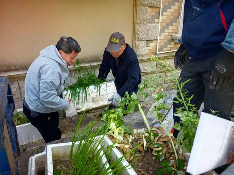 三统筹四提升 | 区绿化市容局：党建引领聚势赋能 城市焕新彰显担当