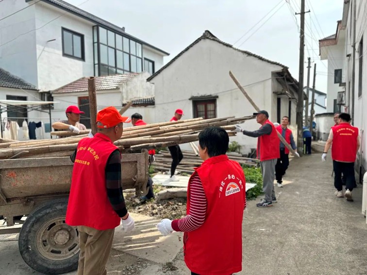 三统筹四提升丨金泽镇：党建引领 全域环境焕新颜~