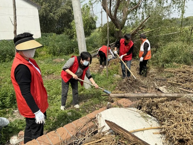 三统筹四提升丨金泽镇：党建引领 全域环境焕新颜~