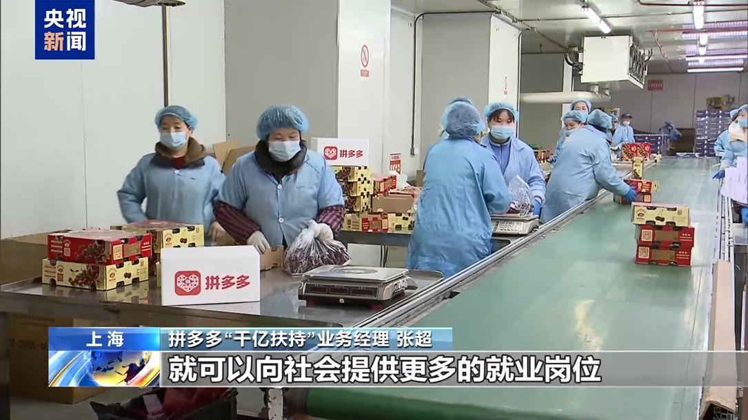 【国务院信息】打造“直播招聘舱”、补贴加码助稳岗……各方“花式出招”促就业