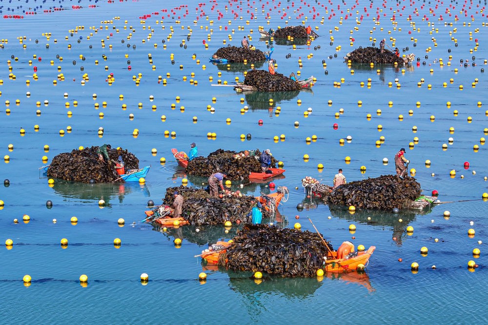【国务院信息】精耕深蓝，加快建设海洋强国——“中国经济圆桌会”聚焦海洋经济高质量发展