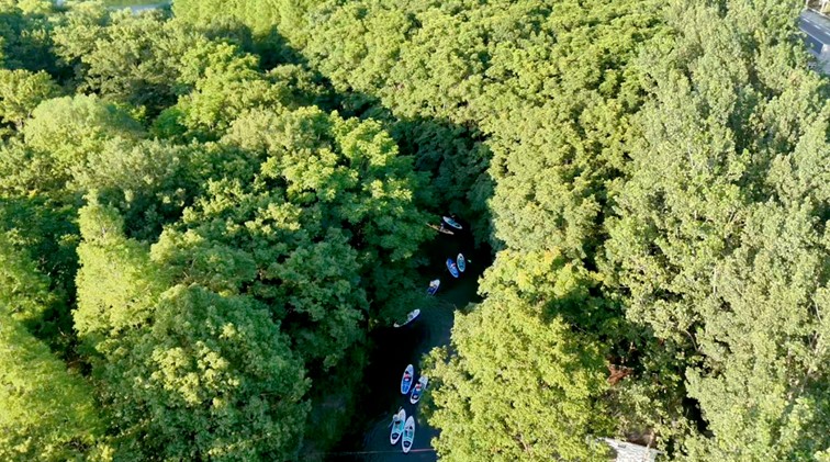 动力何来？透视青浦经济“稳”与“进”的密码丨喜迎两会