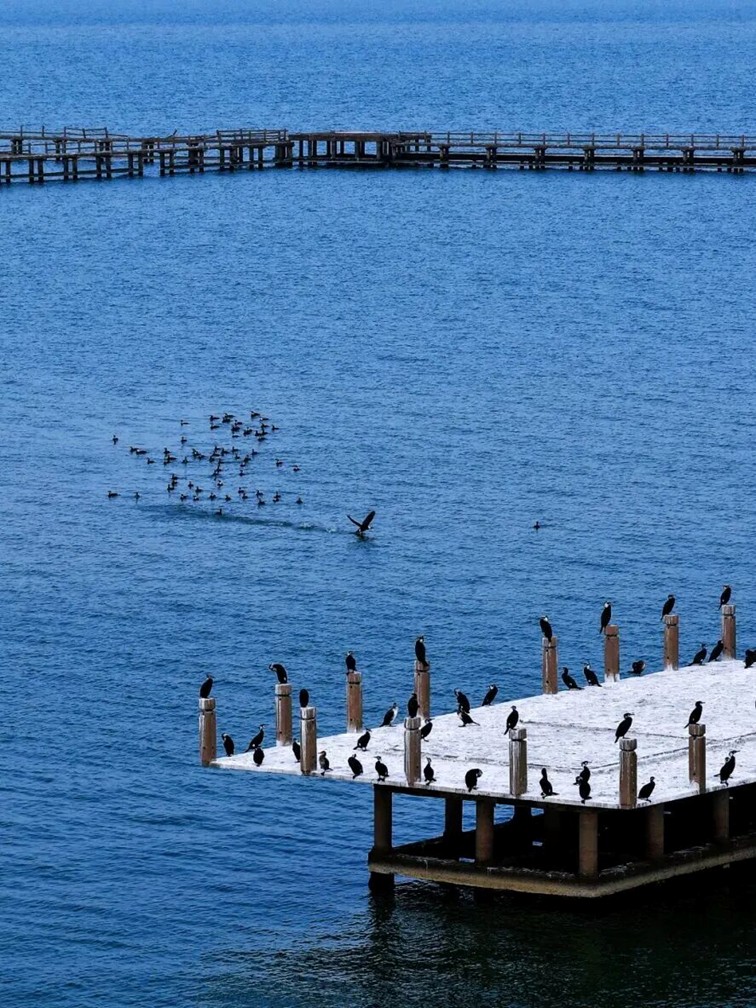 2026年春季来青浦泛艇+骑行,这两条路线包出片的~ 2026年春季来青浦泛艇+骑行,这两条路线包出片的~