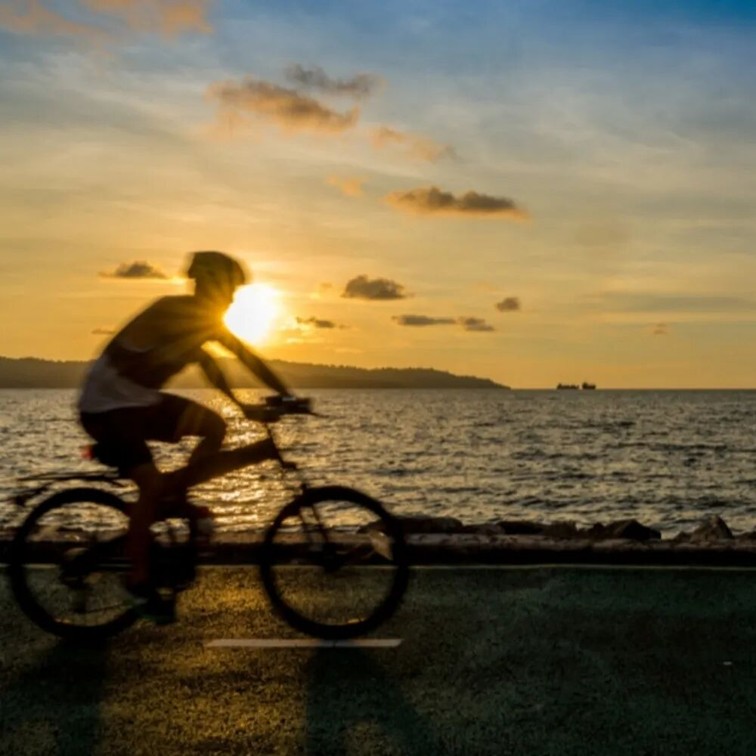 2026年春季来青浦泛艇+骑行,这两条路线包出片的~ 2026年春季来青浦泛艇+骑行,这两条路线包出片的~