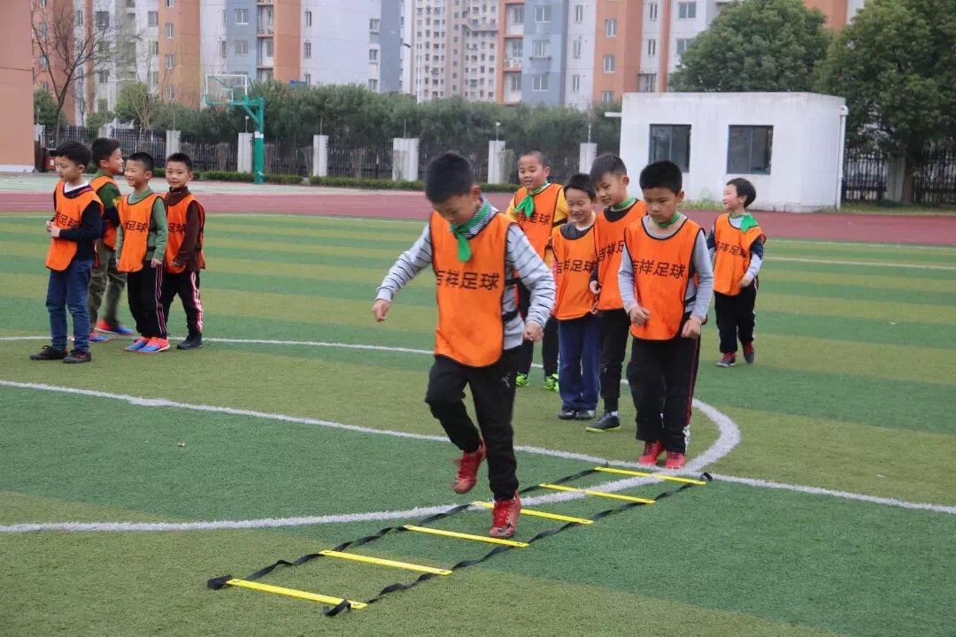 微信图片_201904151002492.jpg