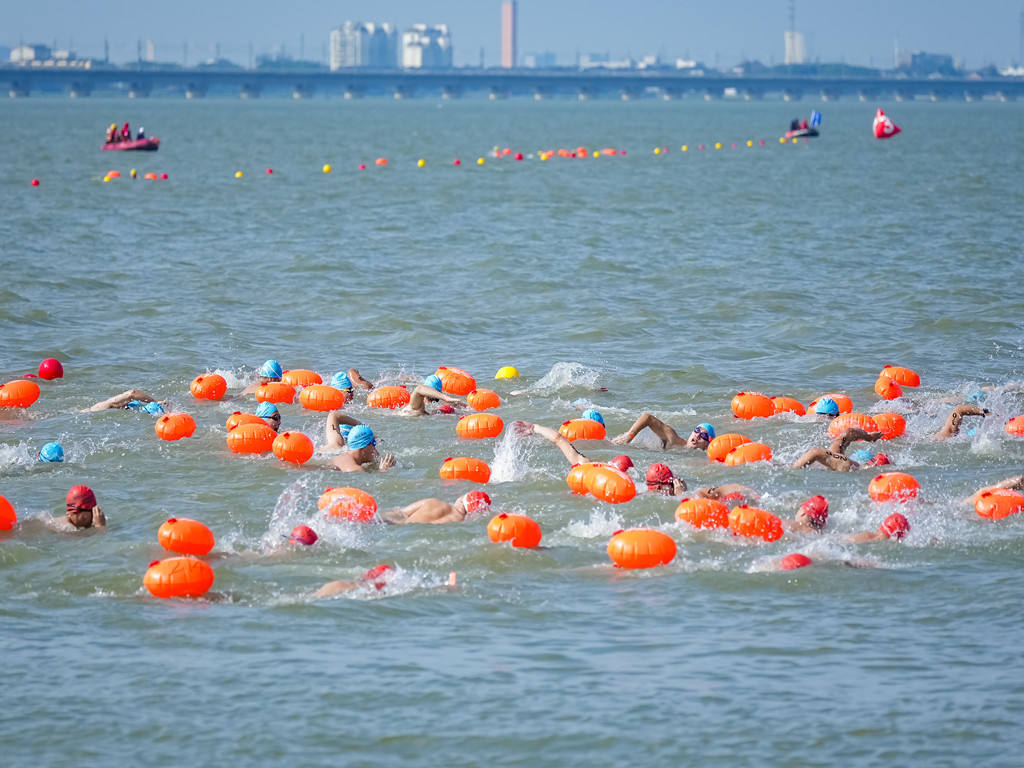 逐浪元荡湖！2026“大江大河”全国群众公开水域游泳系列赛（上海青浦·元荡湖站）开赛