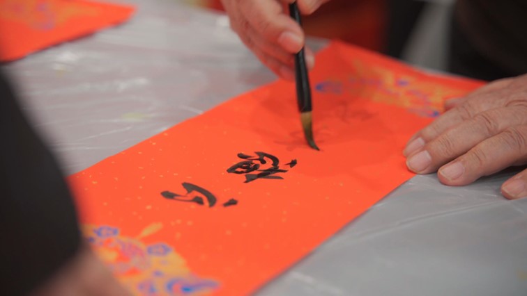 瑞彩蛇舞贺新禧，乡韵迎春展宏图——青浦军休迎接蛇年新春