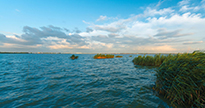 淀山湖风景区_特色专栏
