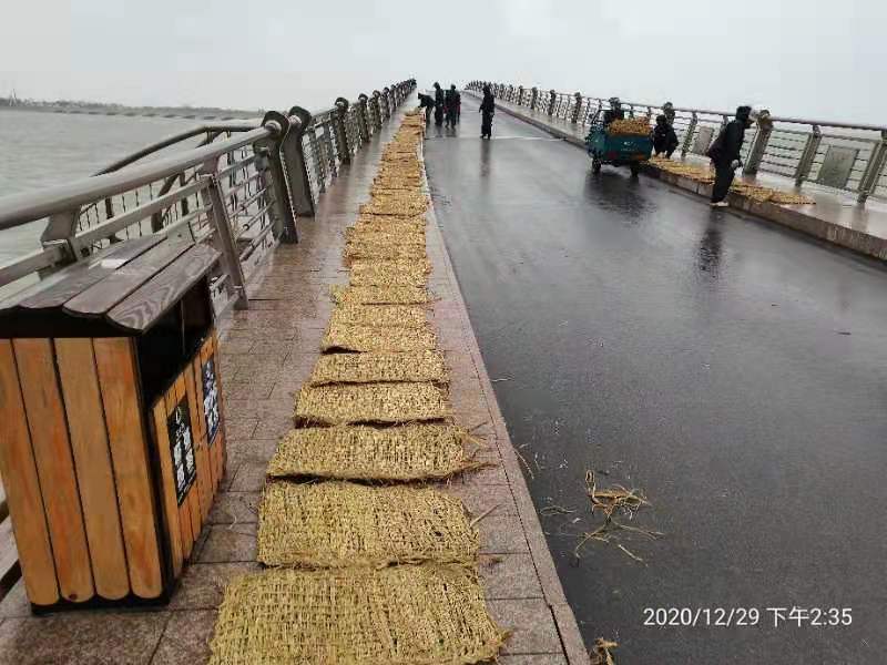 微信图片_20201229152033.jpg