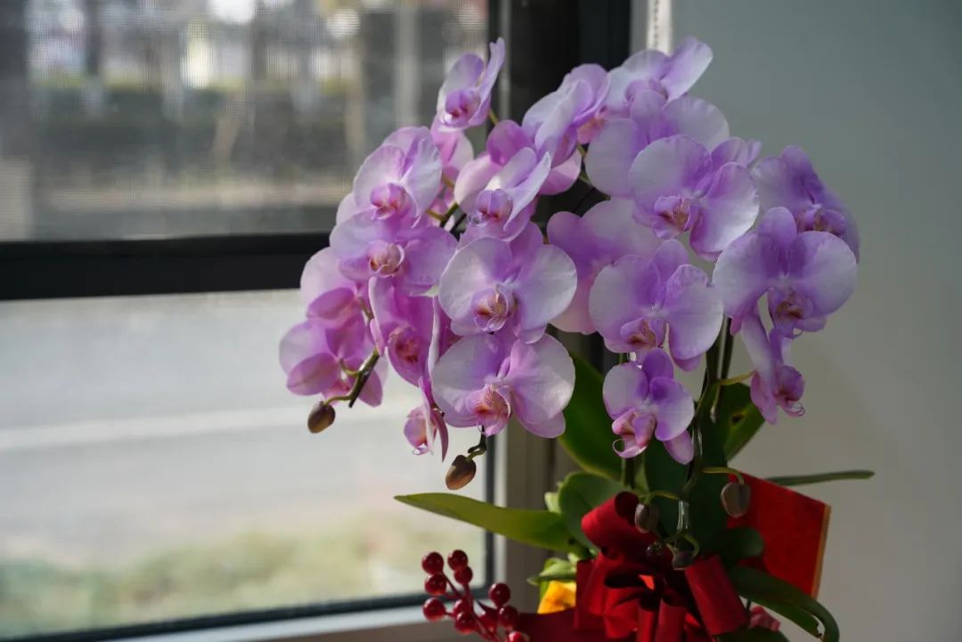 0120_145551_431.jpg 0120_145551_431.jpg