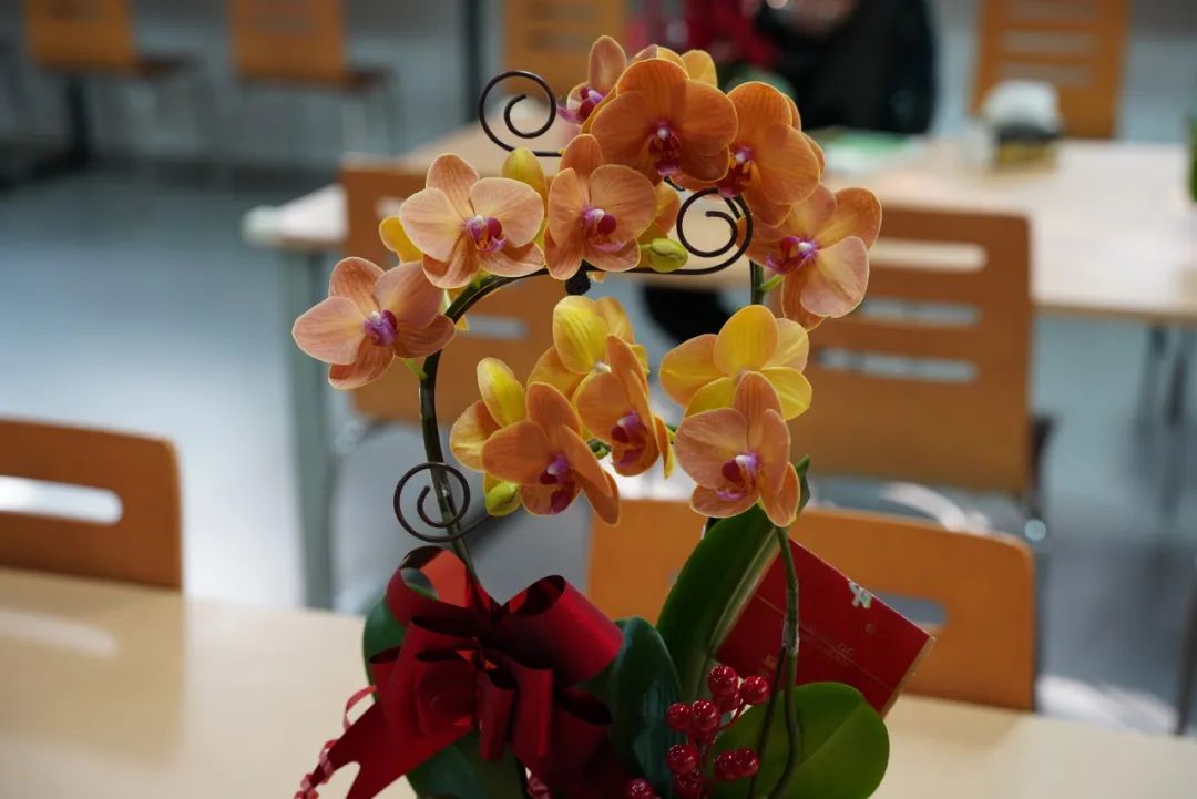 0120_145603_862.jpg 0120_145603_862.jpg