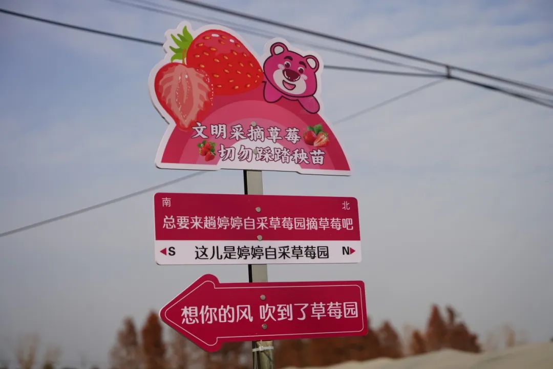 0124_160811_116.jpg