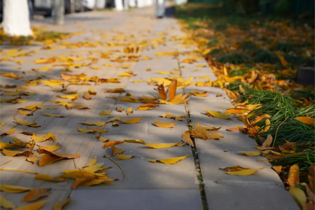 1226_161850_378.png 6666.webp.png