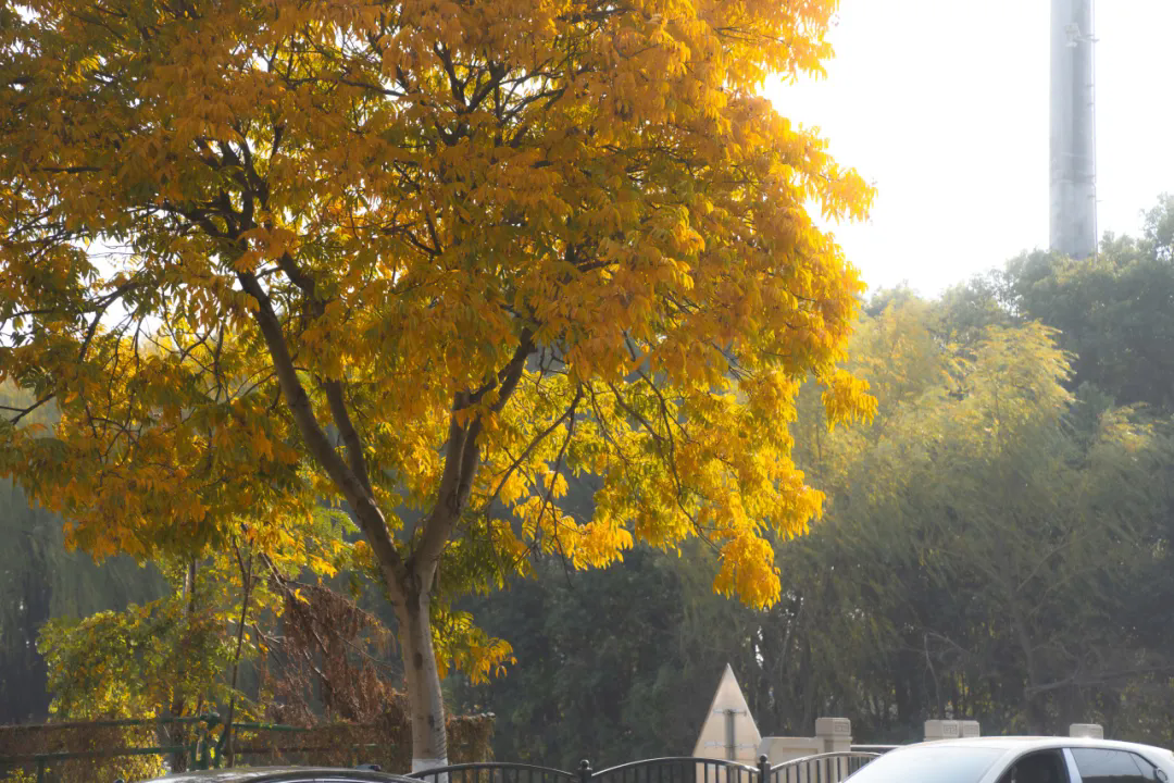 1226_161931_973.png 7777.webp.png