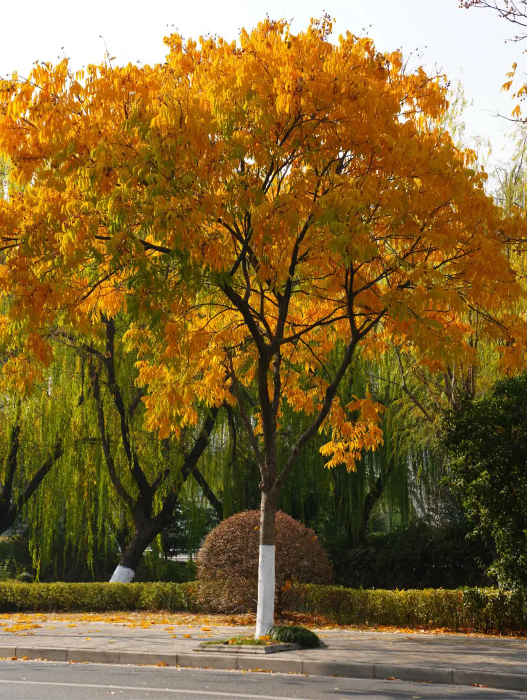 1226_161954_262.png 8888.webp.png