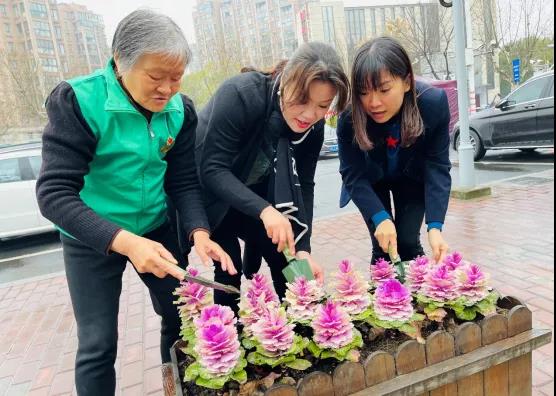 0315_094439_801.jpg 0315_094439_801.jpg