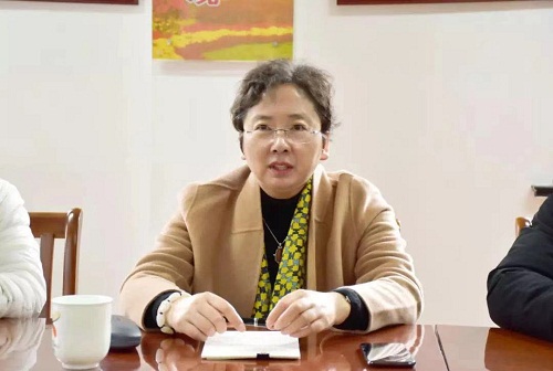 镇党委书记王玲锦带队到中步村就相关工作开展调研